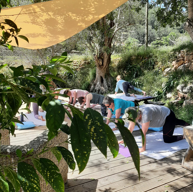 pause citron - cours collectif